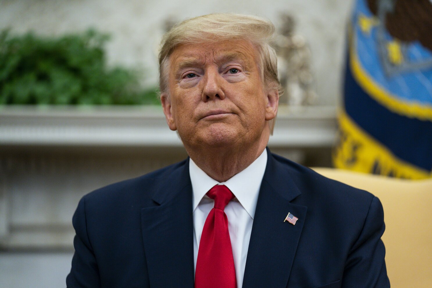 Mega blocks trump sales wall